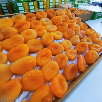 Toptan Kayısı, Toptan Malatya Ürünleri, Toptan Kuru Meyve 49 jumbo sari kayisi 2