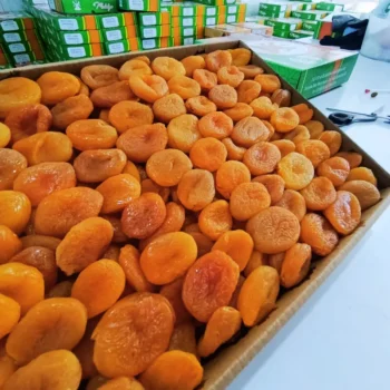 Toptan Kayısı, Toptan Malatya Ürünleri, Toptan Kuru Meyve 41 kucuk boy sari kayisi 2