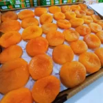 ekstra-jumbo-sari-kayisi