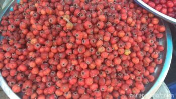 toptan-alic-sirkesi-ev-yapimi