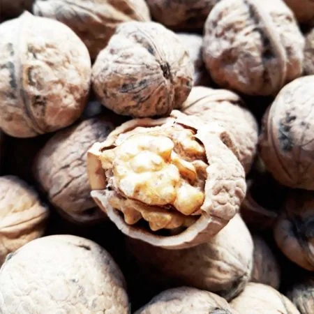 Maraş Çağlayancerit Cevizi