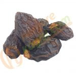 Kudüs Hurması 1 KG