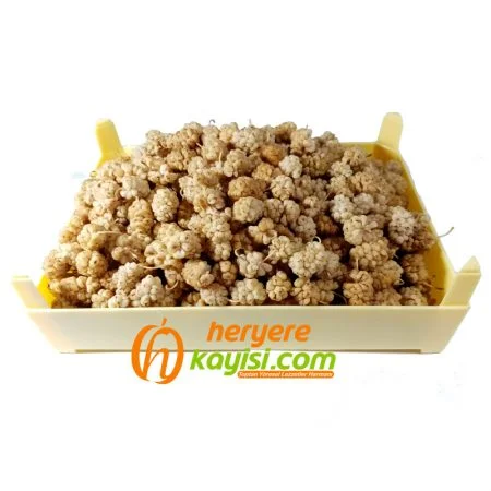 Pötürge Çekirdeksiz Dut Kurusu