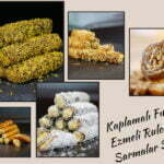 keciboynuzlu-findikli-sarma-gumushane