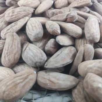 badem ici toptan scaled