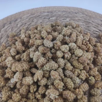 Çekirdekli Dut Kurusu