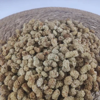 Çekirdeksiz Dut Kurusu