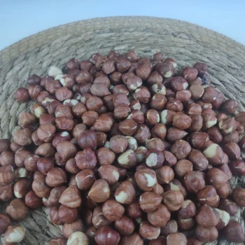 Toptan Çiğ Fındık İçi