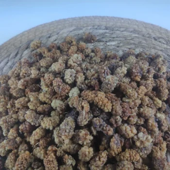 Çekirdekli Esmer Dut Kurusu