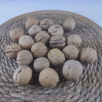 Yerli Kabuklu Ceviz
