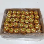 Kremalı Bülbül Yuvası