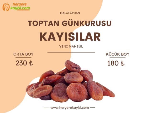 Toptan Gün Kurusu Kayısı