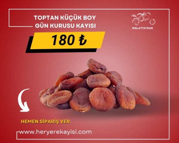 Toptan Küçük Boy Gün Kurusu Kayısı