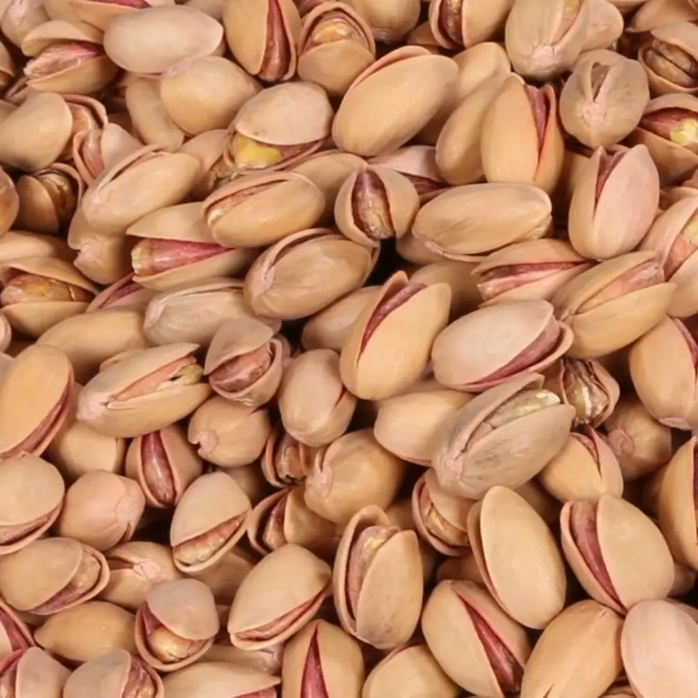 toptan-siirt-fistigi-duble toptan siirt fistigi duble