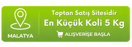 toptan-satis-sitesi toptan satis sitesi